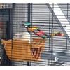 DS. DISTINCTIVE STYLE Bird Ladder Toys Coloured Flexible Parrot Swing