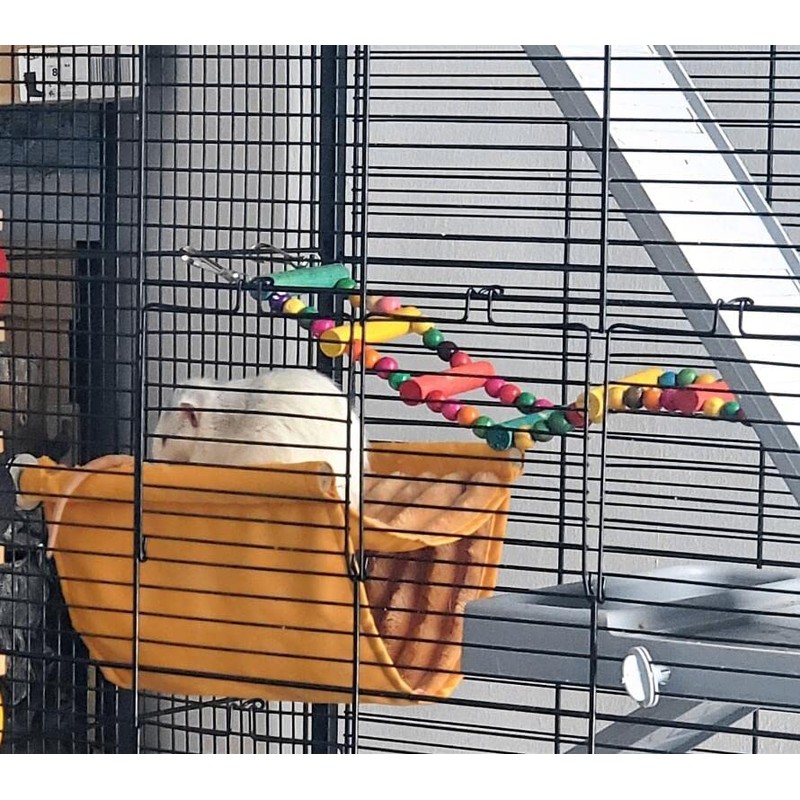 DS. DISTINCTIVE STYLE Bird Ladder Toys Coloured Flexible Parrot Swing