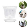 BESPORTBLE 5sets Clear Orchid Pots Flower Planter with Saucers Breathable