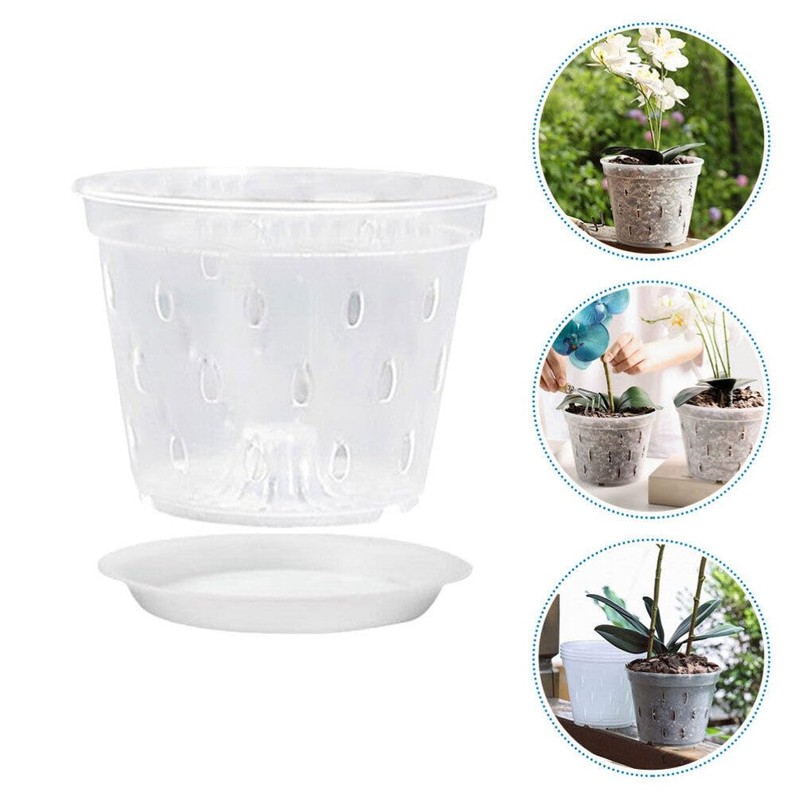 BESPORTBLE 5sets Clear Orchid Pots Flower Planter with Saucers Breathable