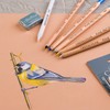 Cretacolor Fine Art Pastel Pencil 7-Piece Set, Multi