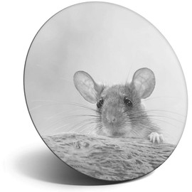 Destination Vinyl ltd Magnet for Refrigerator, Fridge BW - Cute Wild Rat Mouse Rodent for Office, Cabinet and Whiteboard, Magnetic Stickers, 39406