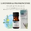 Tree of Life Friend Essential Oil Lavender & Frankincense 5ml
