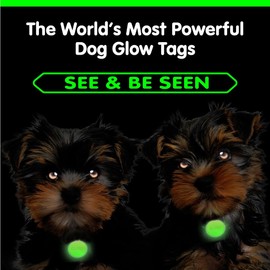 GLO-X Cat Collar Glow Tags – World’s Most Powerful Glow in The Dark Cat Collar Glow Tags to Keep Your Cats Safe at Night – Enhance Visibility for Furry Friends-12+ Hours Glow Time – Solar Powered