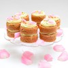 Tala Performance 6 Cup Loose Based Mini Sandwich Pan, made