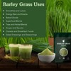 FzyEzy Premium Organic Barley Grass Powder | 100% Pure, Non-GMO,