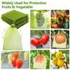 Pack of 30 Grape Protection Bags 30 x 20 cm