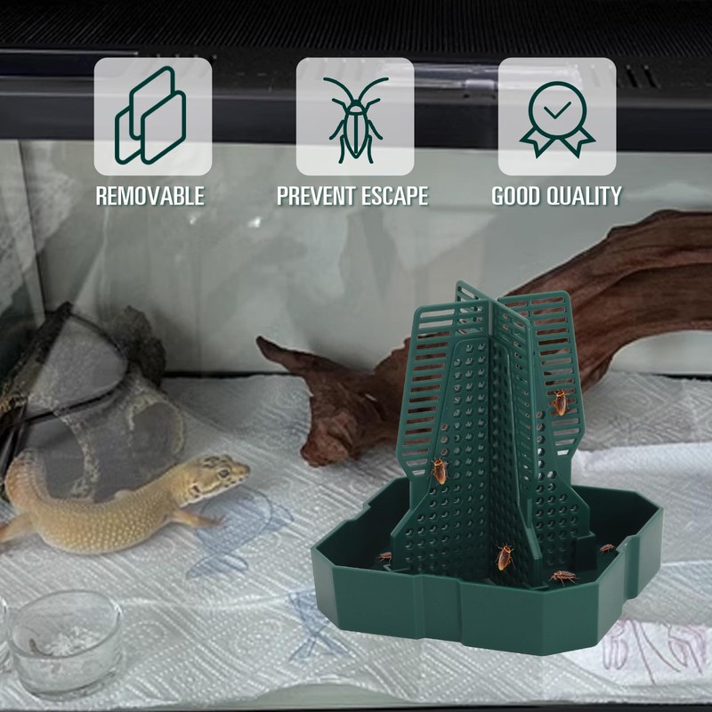Chameleon Feeding Bearded Dragon Bug Bowl Reptile Feeder Box with