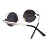 FEISEDY Vintage Round Lens Metal Frame Gothic Steampunk Sunglasses for