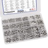 Tnisesm 700Pcs Nuts and Bolts 304 Stainless Steel Assortment Kit