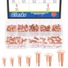 Glarks 170Pcs Solid Rivets Knurled Shanks Set, M2 M2.5 M3