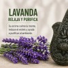 Jabón De Ruda Romero Albahaca Y Lavanda Limpieza Energética
