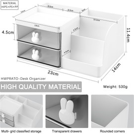 HWPRATO Mini Drawer Organizers Accessories with Compartments and Drawers, Plastic Pen Holder for Desktop Storage for School, Office Supplies (Large Pen Organizer with 2 Drawer-White)