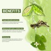 ABERA Folliculitis, BHA Shower Gel, High-Performance Folliculitis Body Wash, Wild