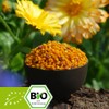 Organic Flower Pollen 500g