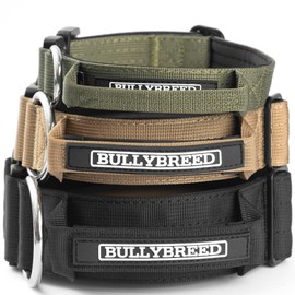 BULLYBREED Premium Dog Colar with Handle, Heavy Duty Dog Collar, Tactical Dog Collar, Quick-Release Metal Buckle, Thick Dog Collar, Dog Collar for Small Dogs, Dog Collar for Medium Dogs (Green, Small)
