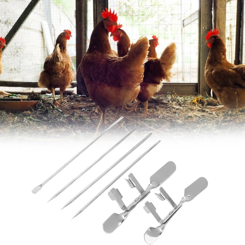 10pcs Stainless Steel Farm Livestock Breeding Chicken Hen Rooster Capon