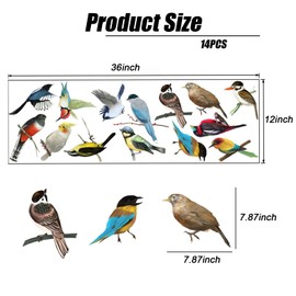 DERJDISF Window Stickers - Window Stickers for Birds - Versatile Anti-Collision Animal Stickers - Perfect for Window, Living Room, Office, & Nursery Wall Art Decor