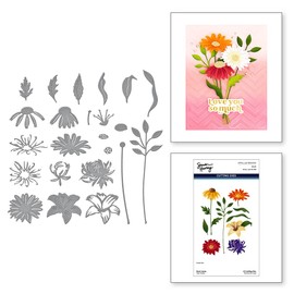 Spellbinders Floral Stems Etched Dies from The Photosynthesis Collection by Simon Hurley, Metal, ONE