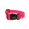 Doodlebone Dog Collar, Fuchsia, 3-6