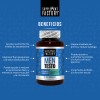 Men Testo 100 cpsulas, Testosterona Hombre, 100 natural, Precursor de