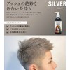 Triple Rainbow Color Shampoo, Silver, 10.1 fl oz (300 ml),