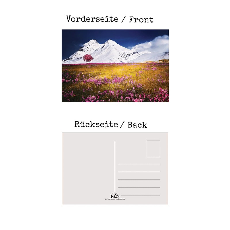 the lazy panda card company Nature Selection Postcards: 32 Different