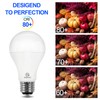 ENERGETIC SMARTER LIGHTING Super Bright 50/100/150W 3-Way A21 LED Light