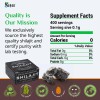 Sayan Resina Pura Shilajit 40g Suplemento Natural 100%