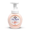 Lion Korea Ai Kkae끗 Hae Peach Hand Wash Bottle 250ml