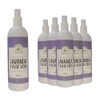 Tonico Facial De Lavanda & Aloe Vera Refresca (Pack 6)