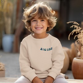 BOUTIKOME Big Brother Sweatshirt Toddler Baby Boy Cool Big Bro Club Shirts Announcement Pullover Long Sleeve Fall Tops(Beige,5-6T)