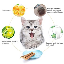 WoLover 10 PCS Cat Catnip Sticks, Natural Matatabi Silvervine Sticks - Cleaning Teeth Molar Tools Kitten Chew Toy Natural Catnip Cats Toy