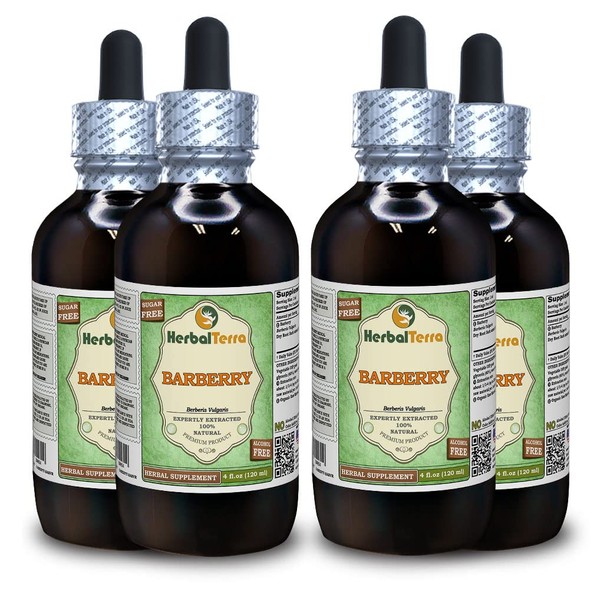 Barberry (Berberis Vulgaris) Glycerite, Organic Dried Root Bark Alcohol-FREE Liquid Extract (Brand name: HerbalTerra, Proudly made in USA) 4x4 fl.oz (4x120 ml)