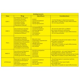Nurse Study Guide (10 page Laminated Medication Cheat Sheet)