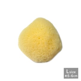 Natural Sea Cotton Sponge, Large, Approx. 2.0 - 2.4 inches (5 - 6 cm), Silk Seeds, Fluffy, Absorbent, Facial Cleansing, Sheath Sponge, Soft, Fine Texture and Gentle Touch (Set of 2)