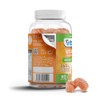 VITALDIN Vitamin C Gummies – 240 mg per Serving -