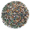 2LBS Horticultural Succulent Rocks Bonsai Mix Succulent Potting Mix Lava