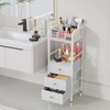 HapiRm Rolling Makeup Cart Organizer - Floor Skincare Make Up