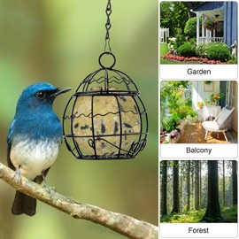 Pack of 4 Fat Ball Holder, Bird Feeder, Hanging Fat Ball Holder, Feeder for Birds, Feeder for Fat Balls, Metal Bird Feeder