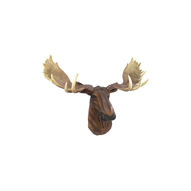 Figure North American Moose Head The Emperor Bust Hanging Wall