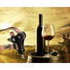 Damn Handy Products Rabbit Wine Bottle Opener Screwpull pressure Handle