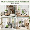 LASZOLA Plant Stand Indoor Tabletop Small for Desk, 3 Tier