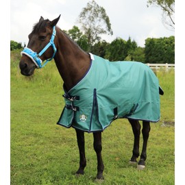 T TEKE Deluxe Turnout Horse Blankets, 1200D Waterproof and Breathable Horse Care Blankets for Winter 200gram Filling (51"-87" Including Miniature/foal Size)