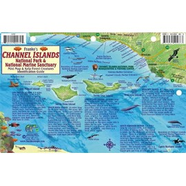 Channel Islands National Park Map & Kelp Forest Creatures Guide Franko Maps Waterproof Fish Card