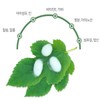 국내산 고창 뽕나무잎 분말 차 뽕잎가루 500g Domestic Gochang Mulberry