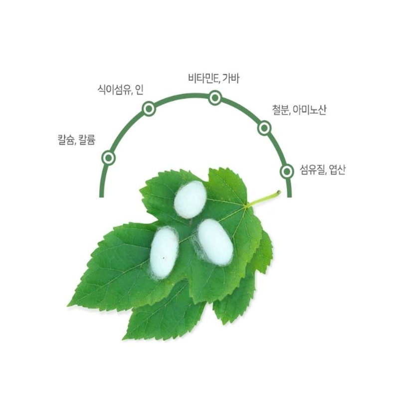 국내산 고창 뽕나무잎 분말 차 뽕잎가루 500g Domestic Gochang Mulberry