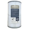 Sundance Spas MicroClean® Ultra II Complete Filter Assembly (6541-964S), White