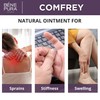 BenePura Comfrey Ointment, Natural Ointment for Joints, Stiffness and Swelling,