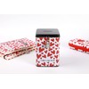 I-TOTAL® - Funny Money Box with Padlock and Keys, Metal